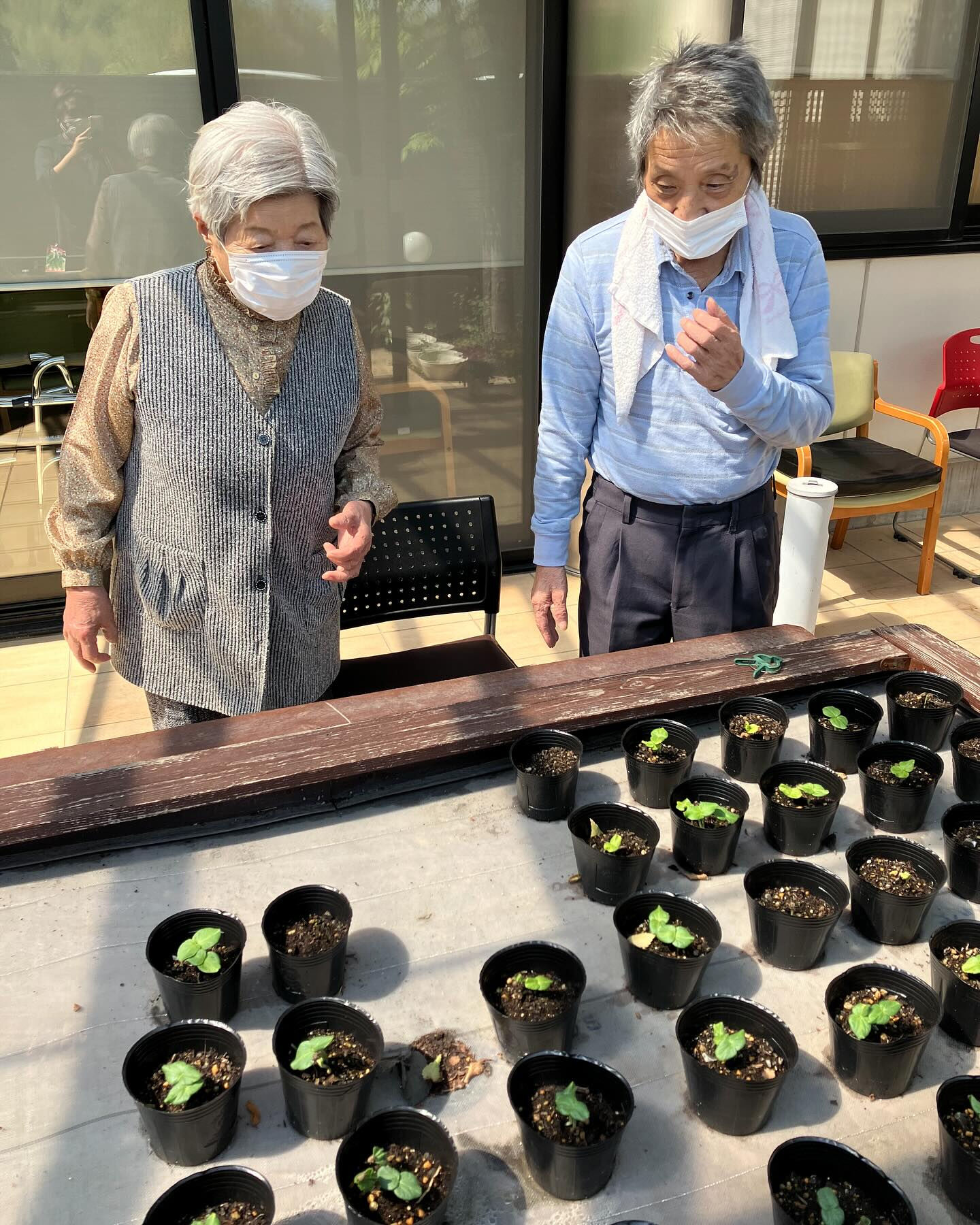 こんにちは😃木もれびです✨