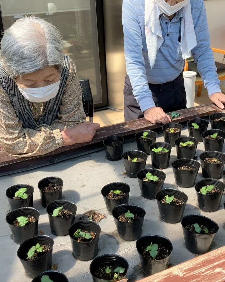 こんにちは😃木もれびです✨