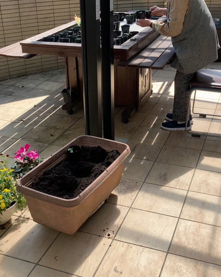 こんにちは😃木もれびです✨