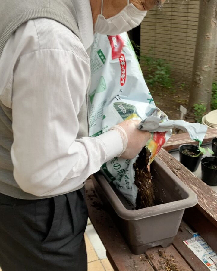 こんにちは😃木もれびです✨