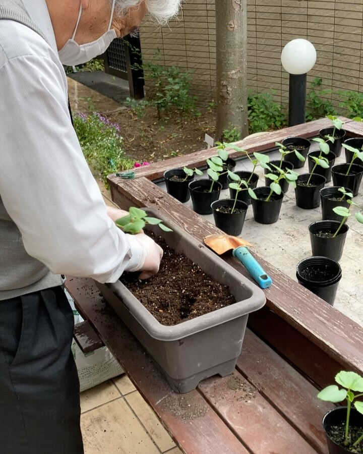 こんにちは😃木もれびです✨