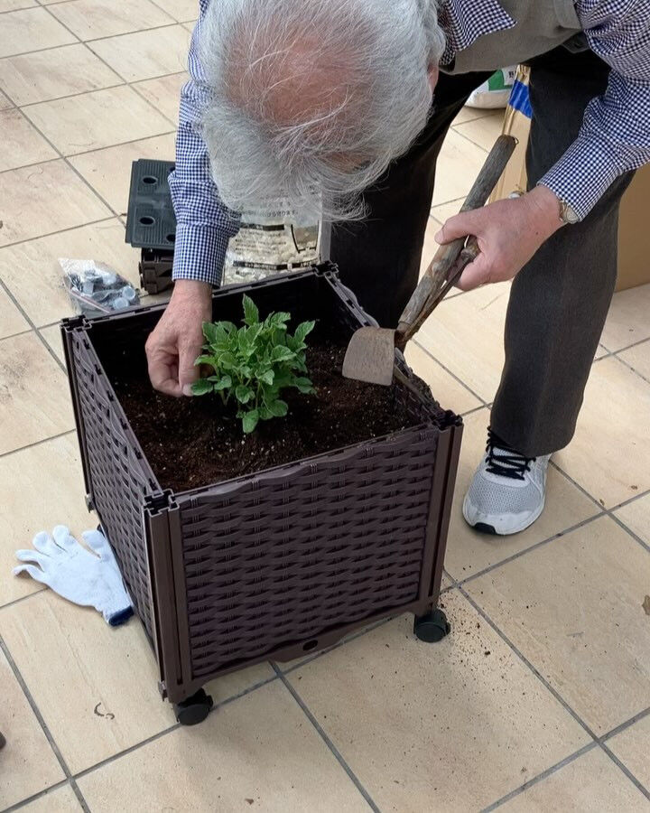 こんにちは😃木もれびです！