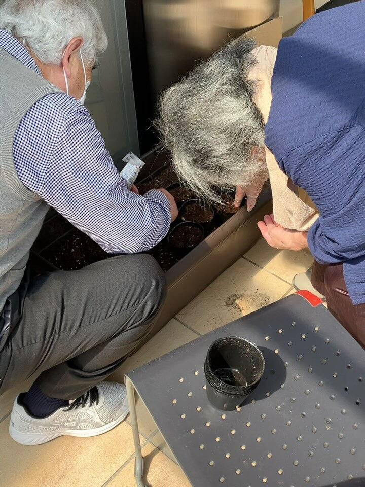 テーブル農園で本日はとうもろこしの種まきです🌽