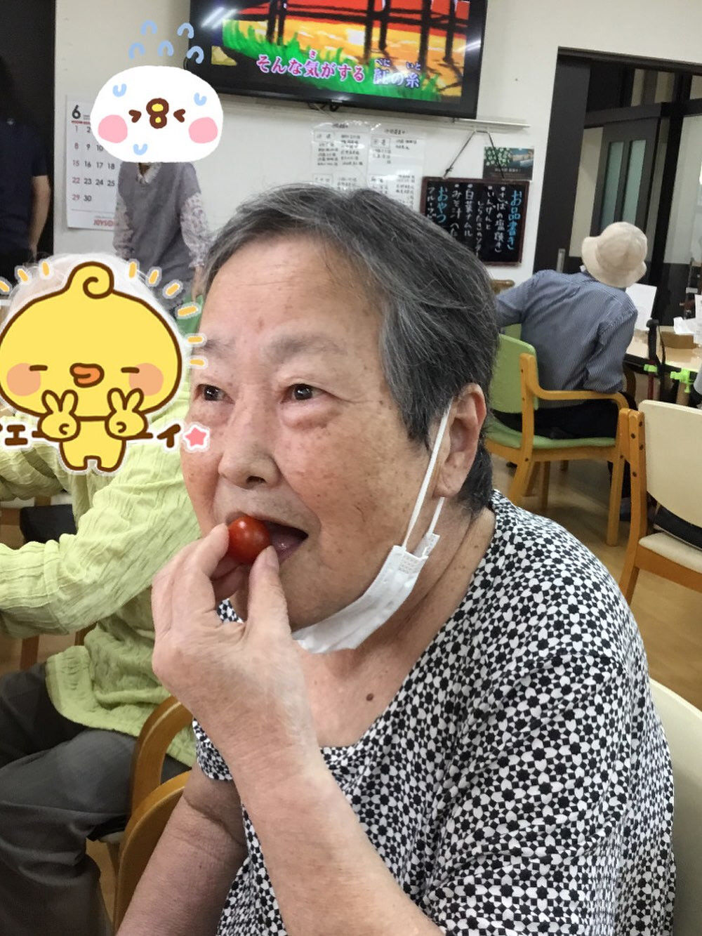 木もれび収穫したミニトマトを