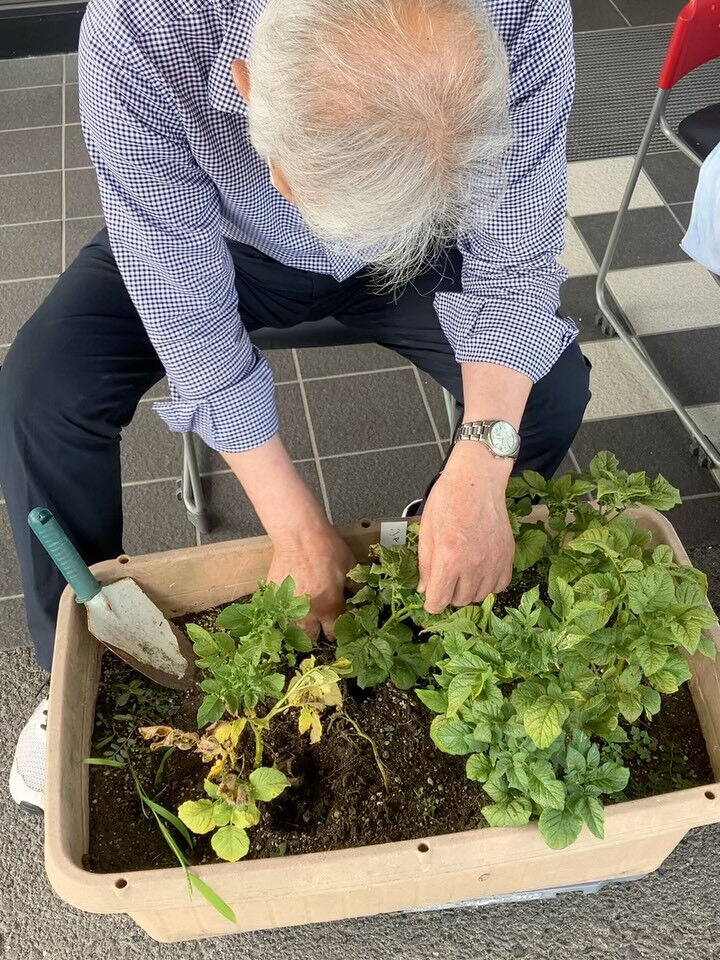 こんにちは😃木もれびです☺️