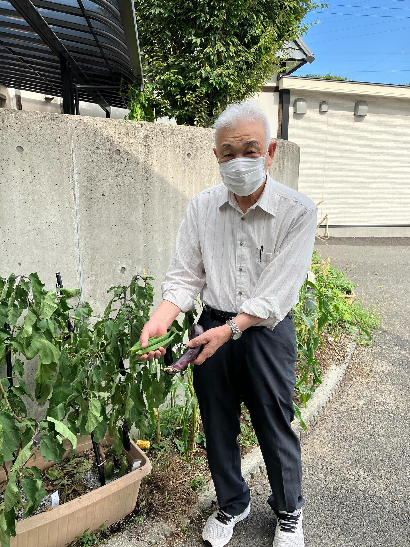 こんにちは😃木もれびです⭐️