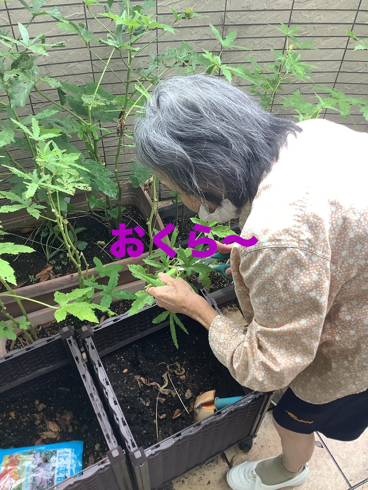 #デイサービス　#桑名市　#木もれび