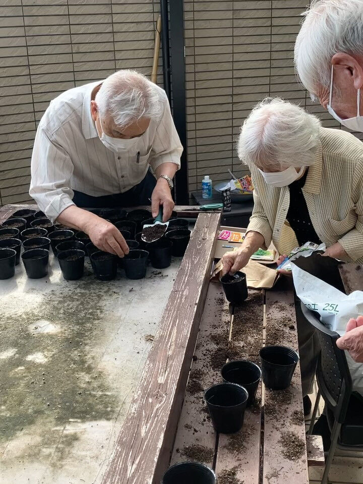 こんにちは😃木もれびです✨