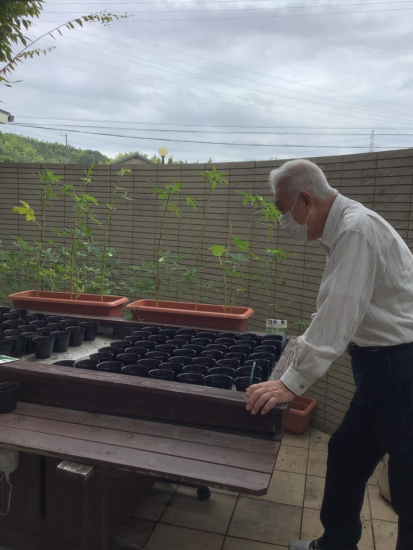 こんにちは😃木もれびです