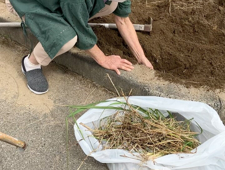 こんにちは😃木もれびです✨