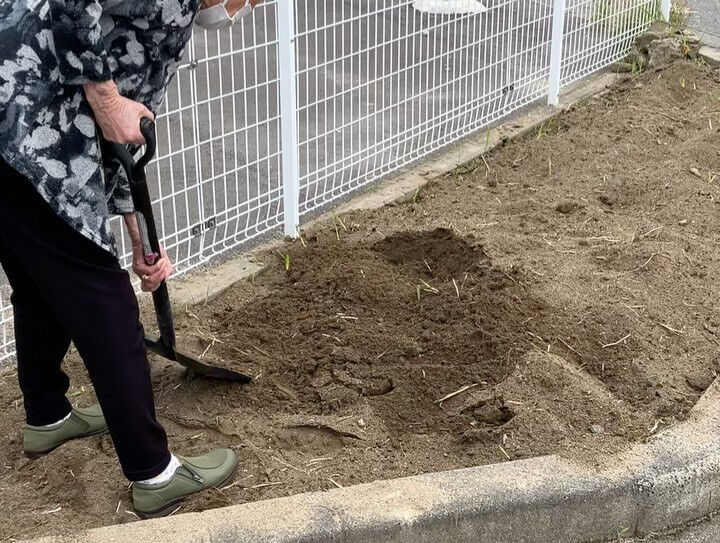こんにちは😃木もれびです✨