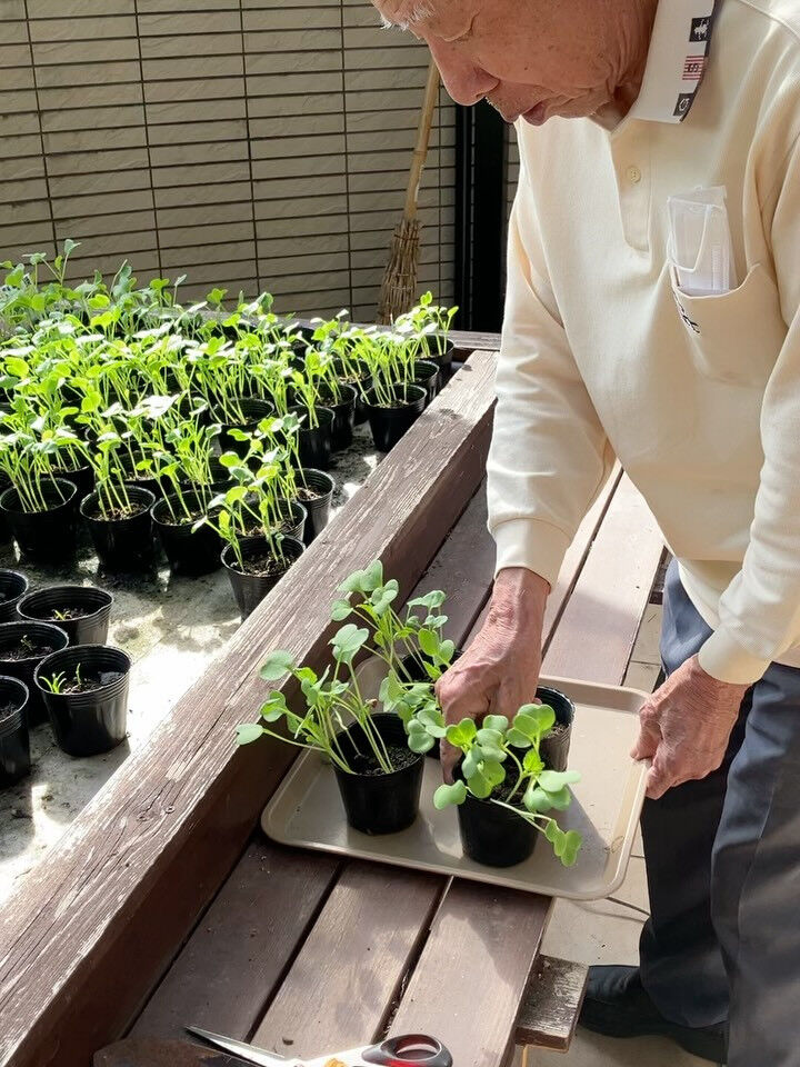 こんにちは😃木もれびです☆