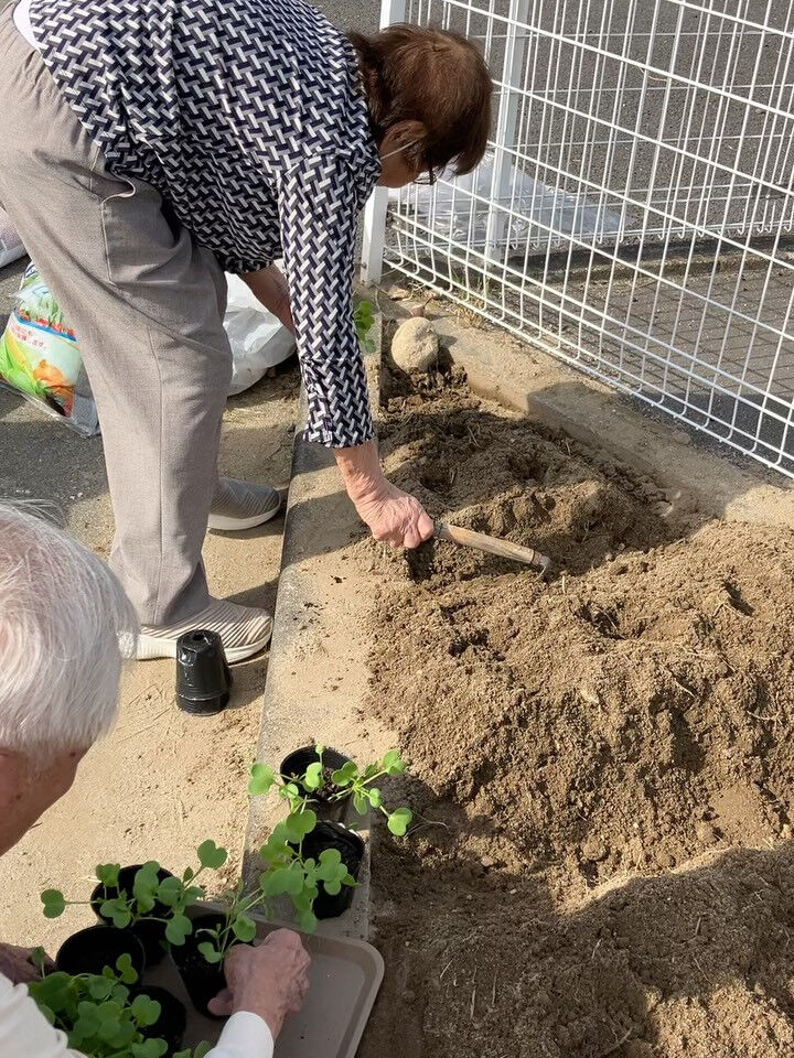 こんにちは😃木もれびです☆