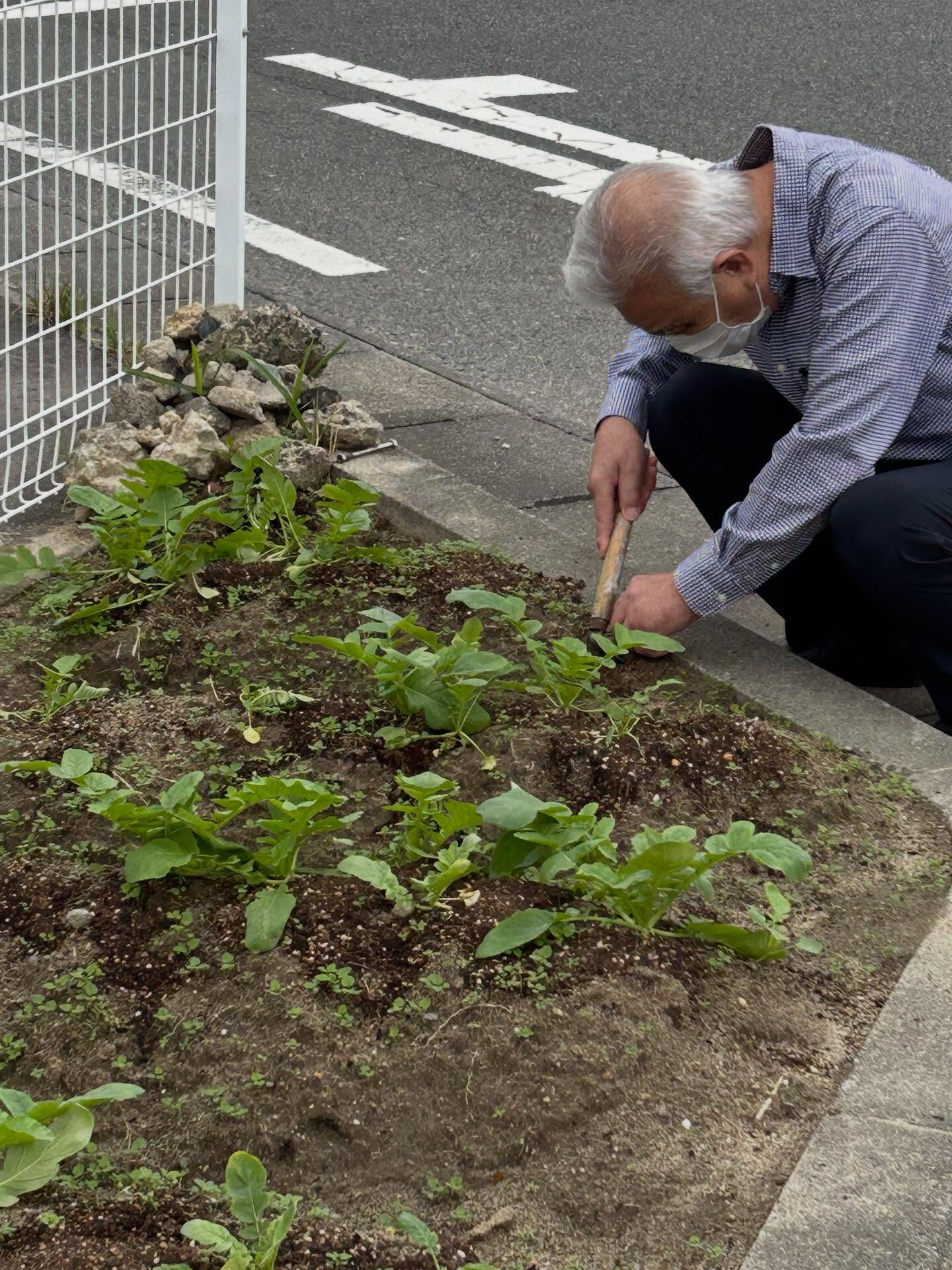 こんにちは😃木もれびです🌲