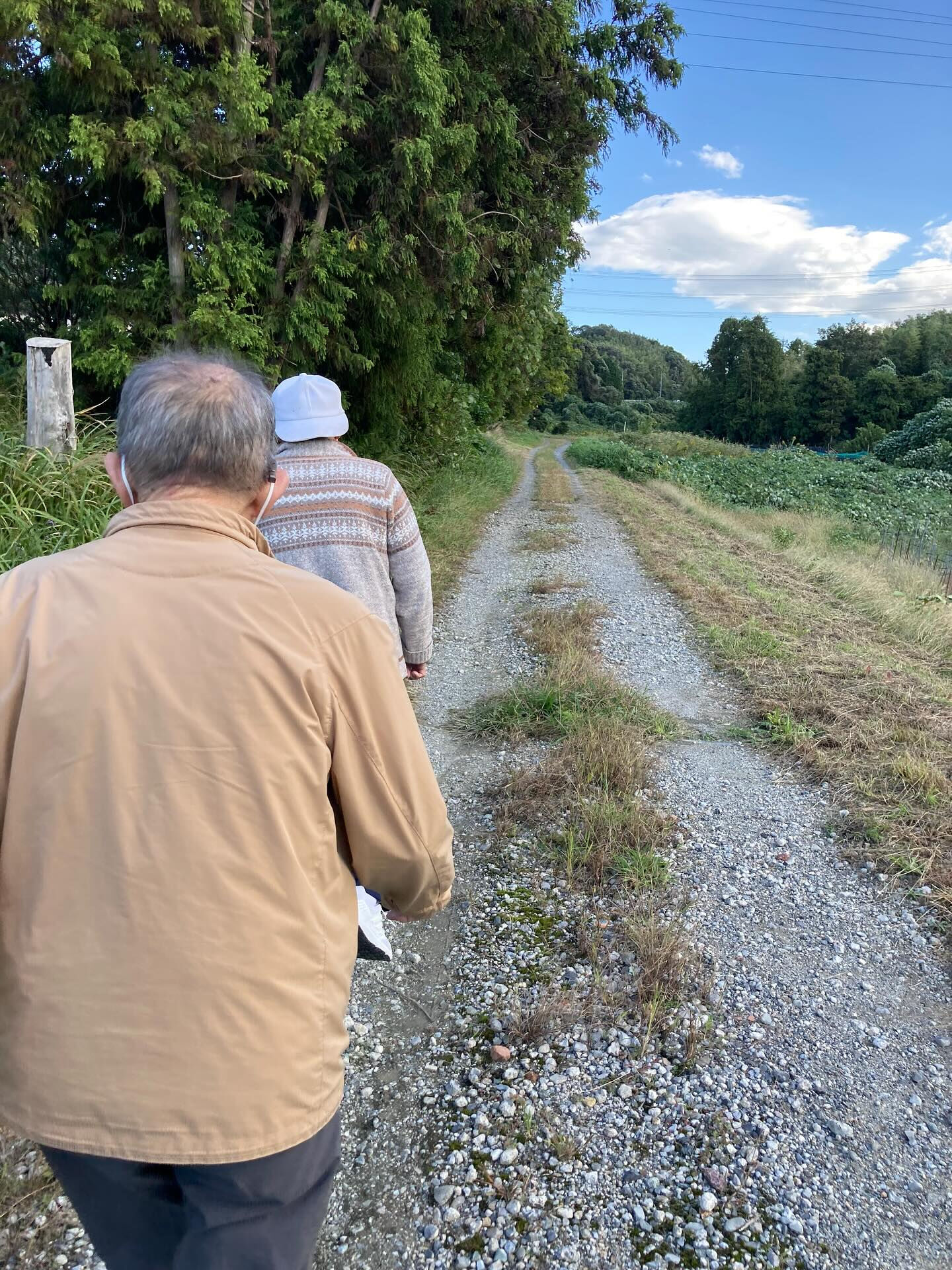午後から外をウォーキングして来ました🚶