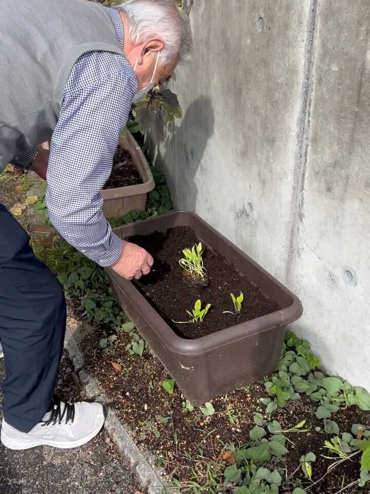 こんにちは😃木もれびです✨