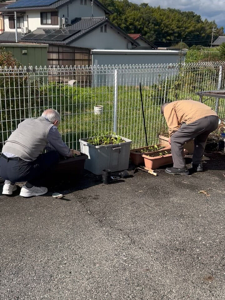 こんにちは😃木もれびです✨