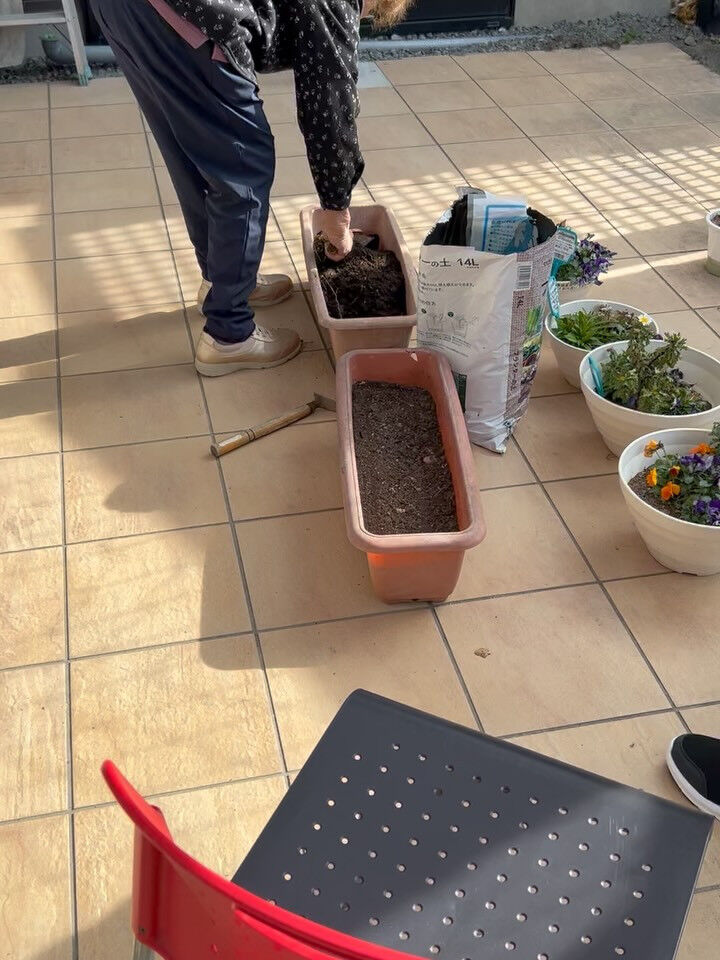 こんにちは😃木もれびです👍