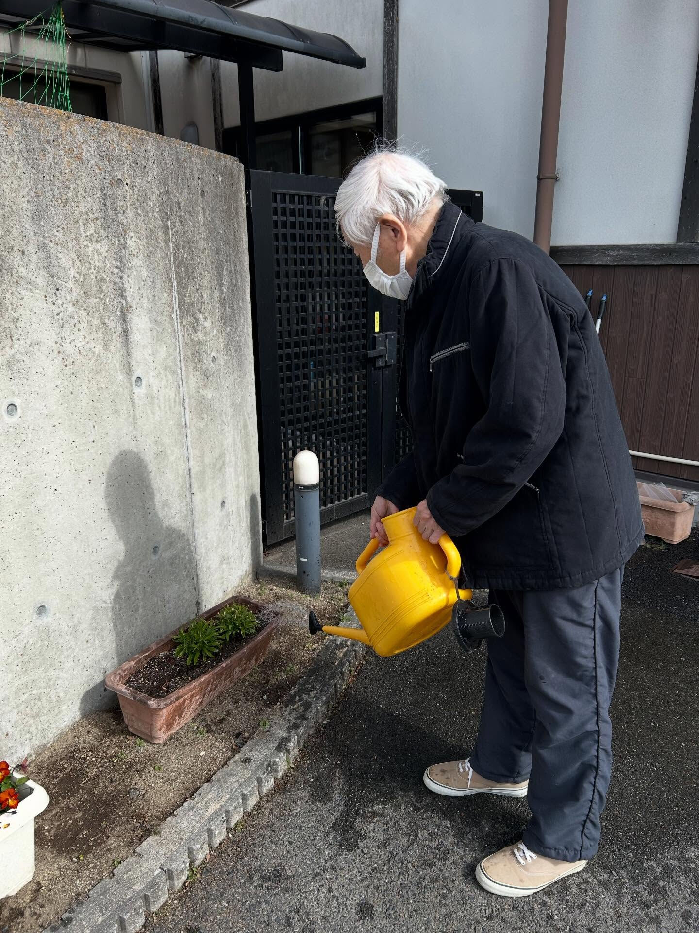 こんにちは木もれびです😀