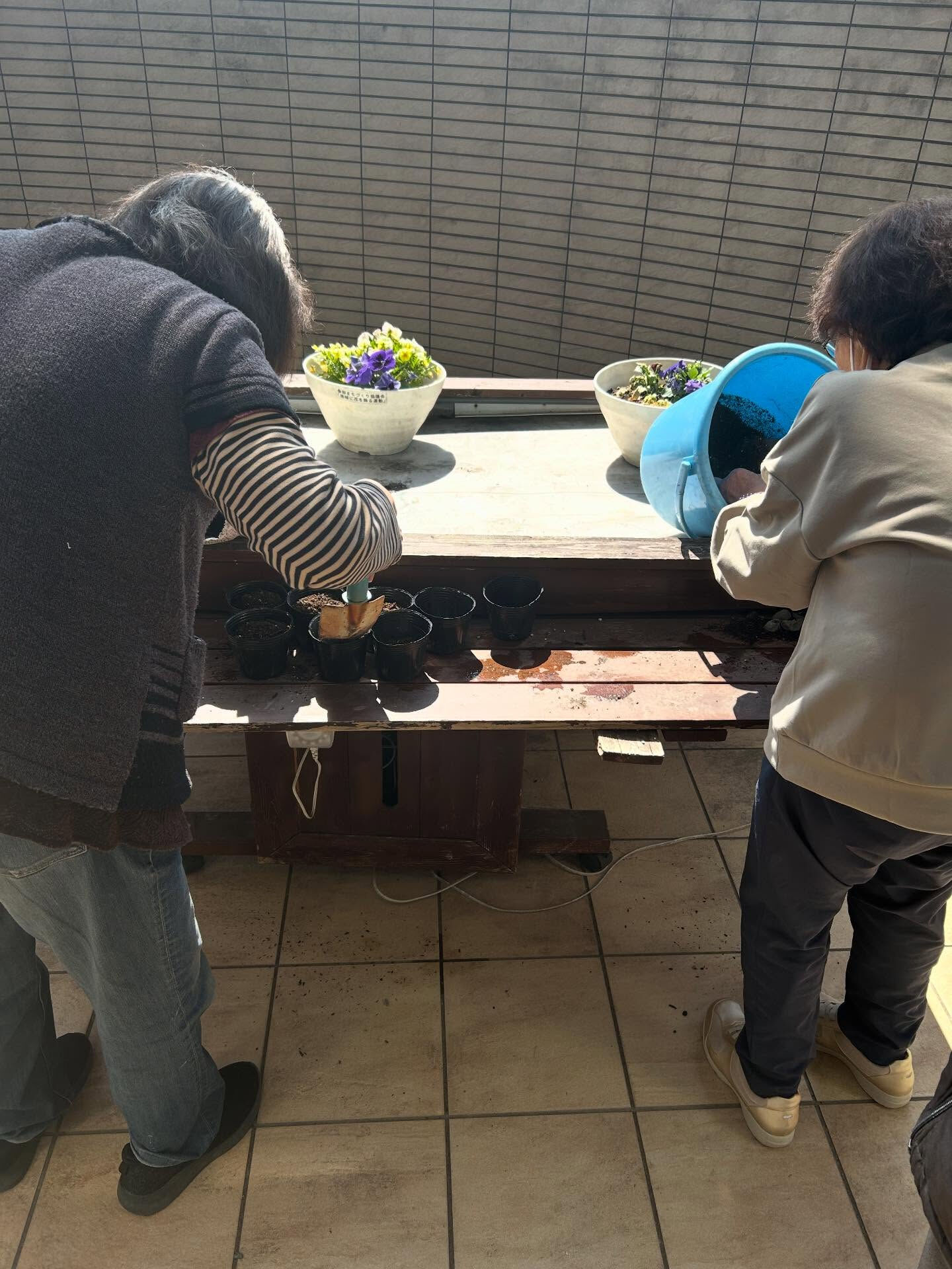 こんにちは😃木もれびです🌸