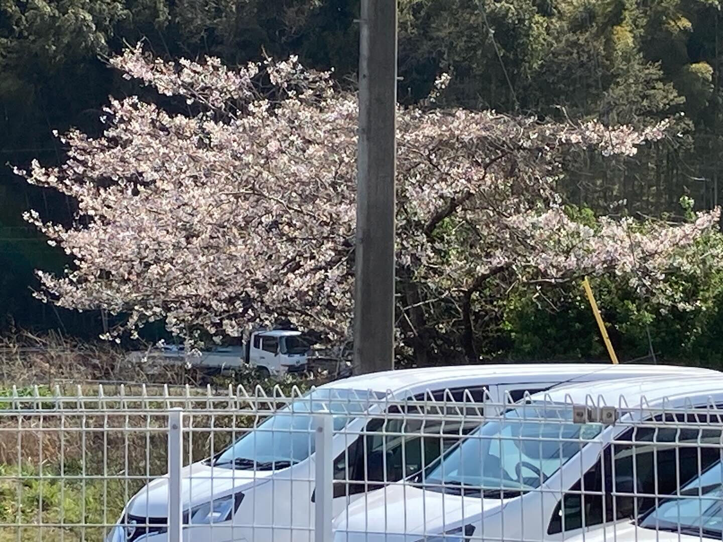 こんにちは😃