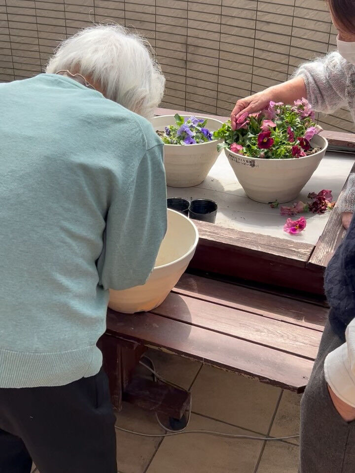 こんにちは木もれびです😃