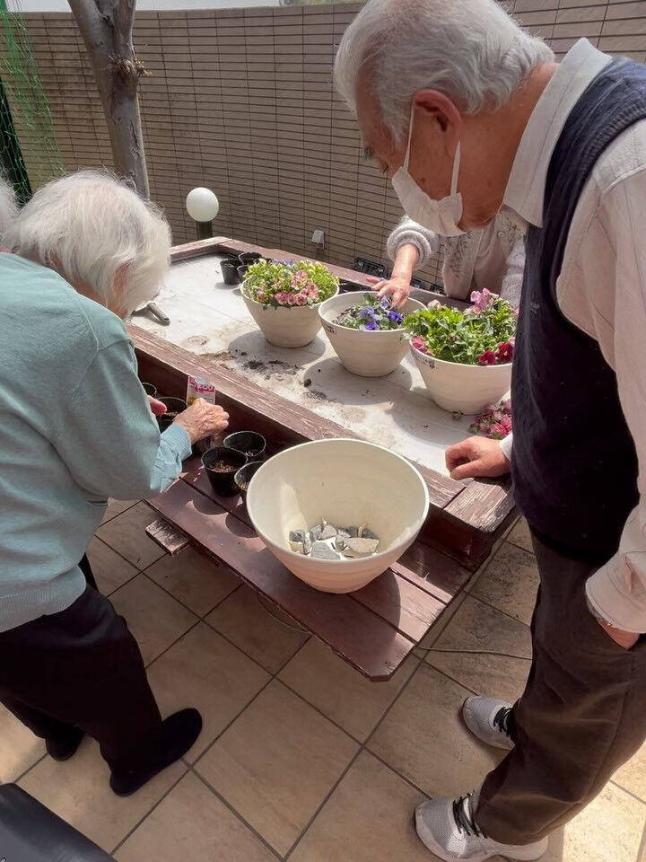 こんにちは木もれびです😃