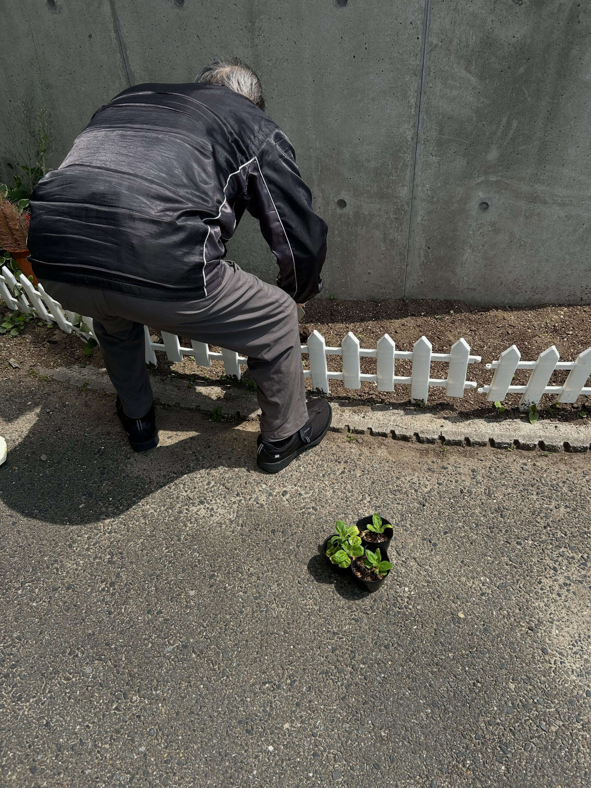 こんにちは😃木もれびです✨
