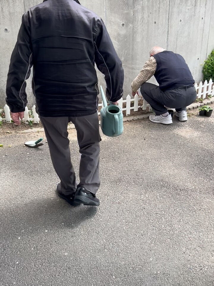 こんにちは😃木もれびです✨