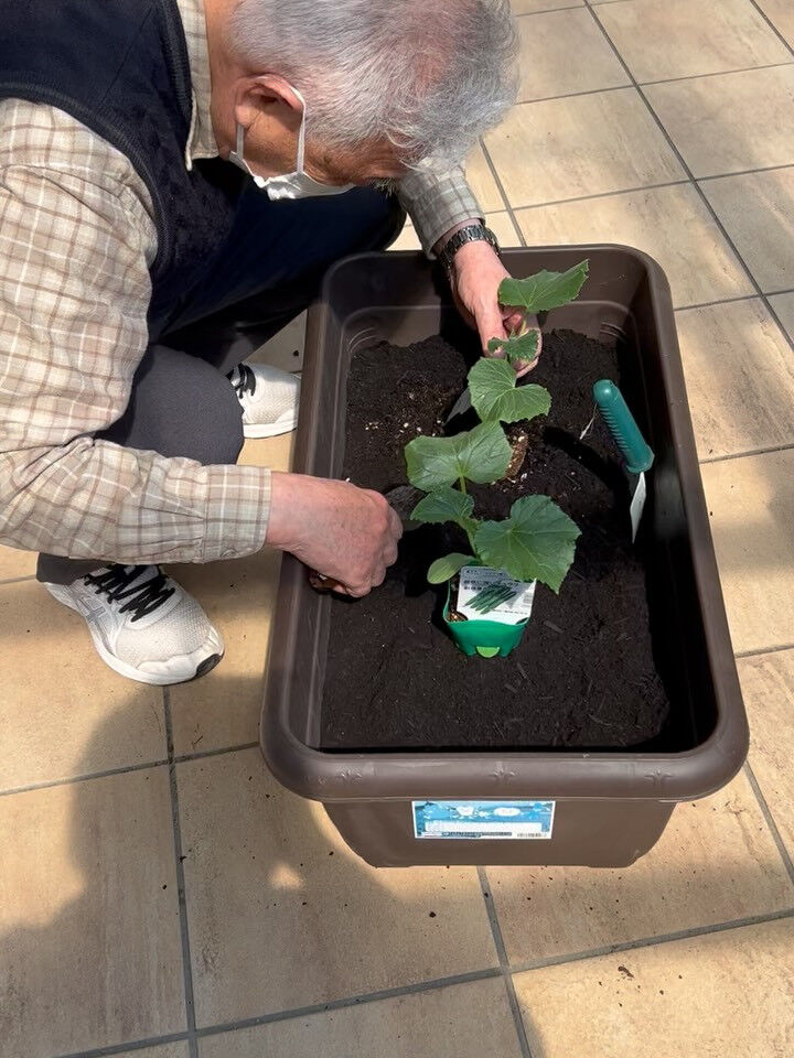 こんにちは木もれびです😃