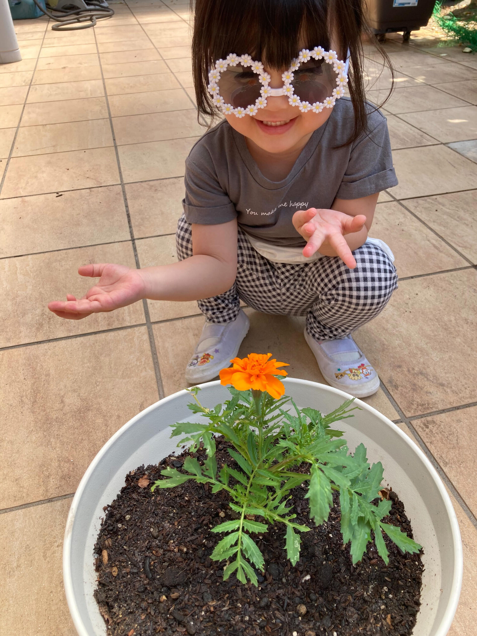 こんにちは🌞