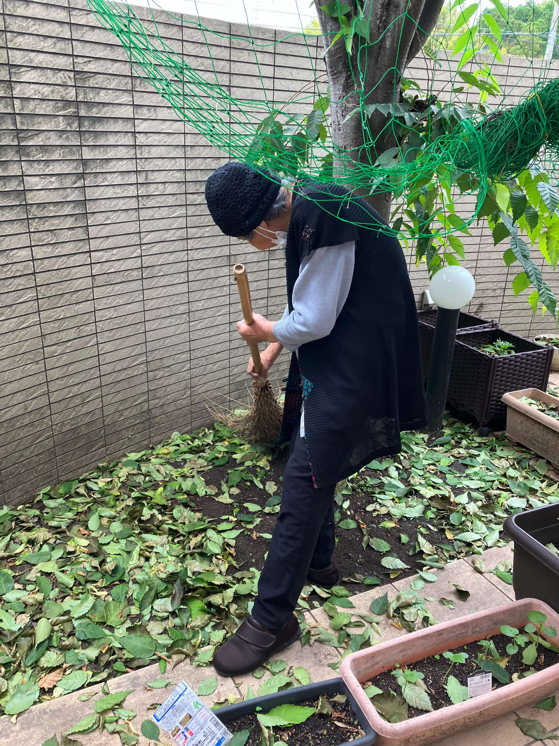 こんにちは