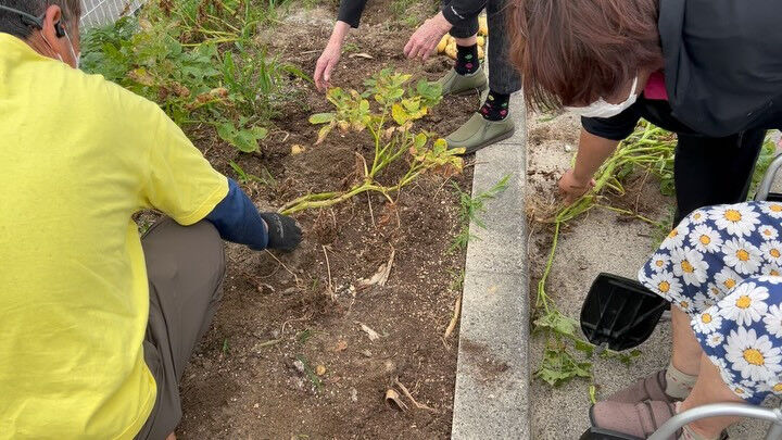 こんにちは😃木もれびです☺️