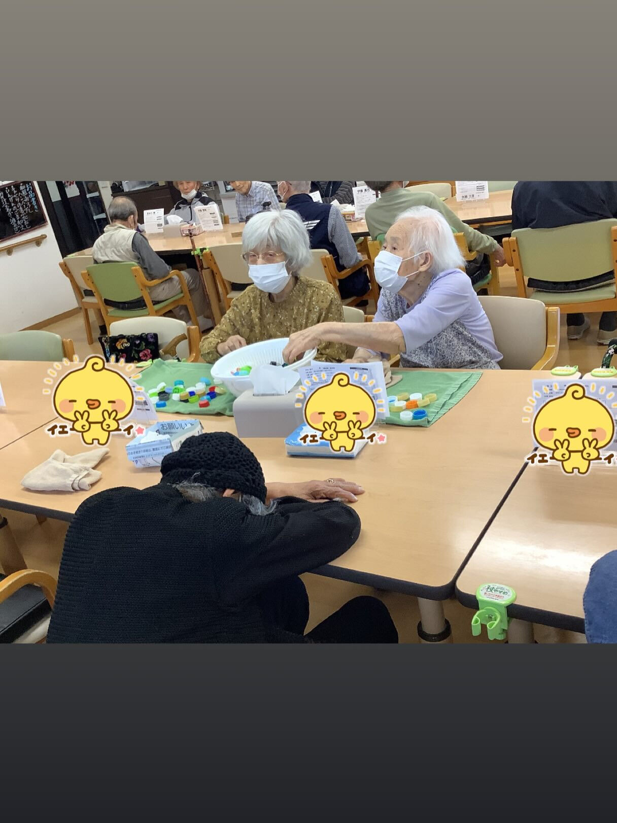 こんにちは☀️木もれびです