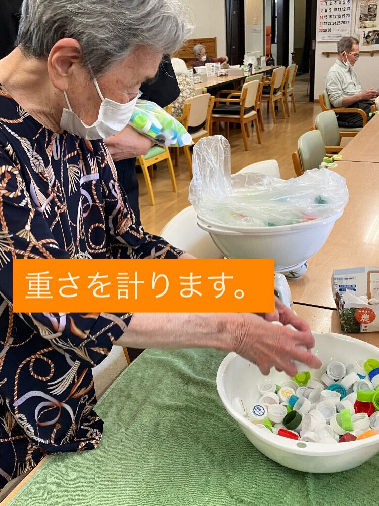 こんにちは😃木もれびです