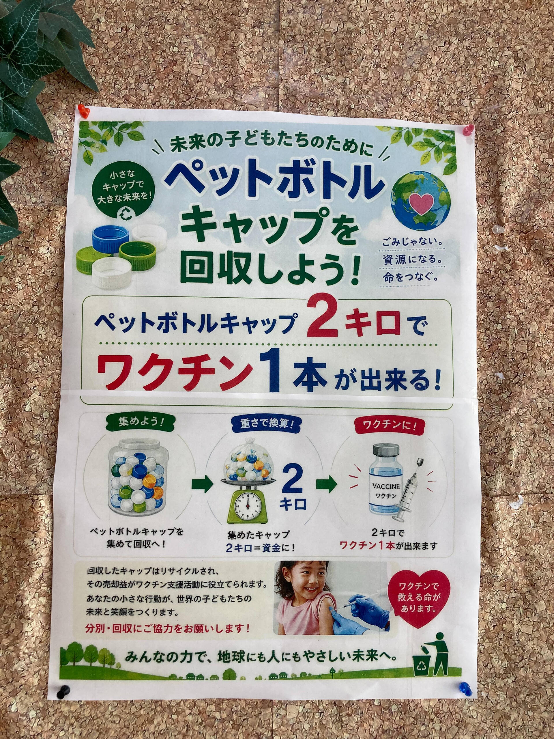 こんにちは♪木もれびです☺️