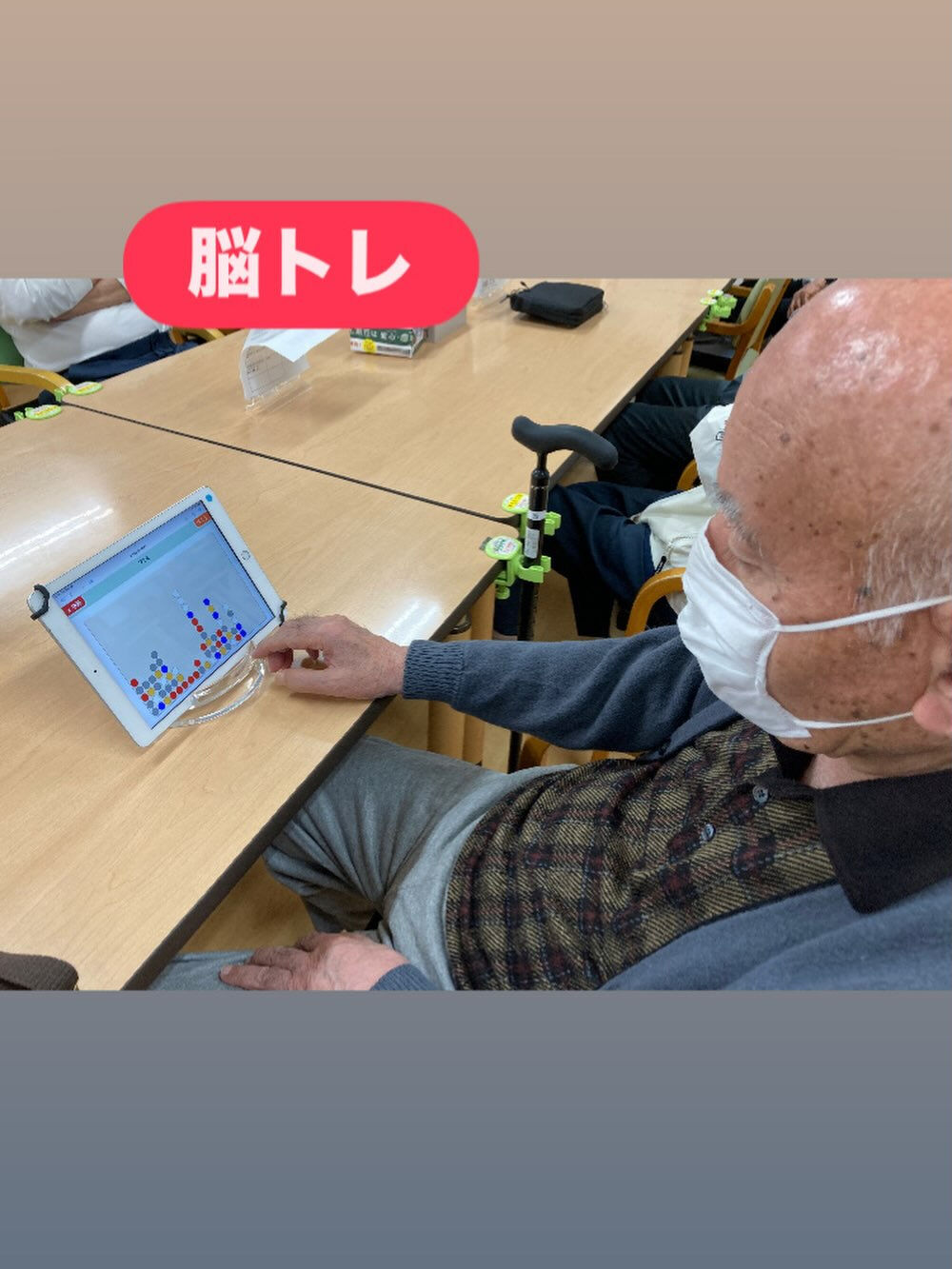 こんにちは　木もれびです